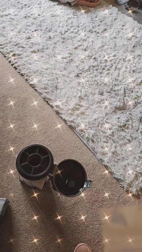SCENTED VACUUM DISKS